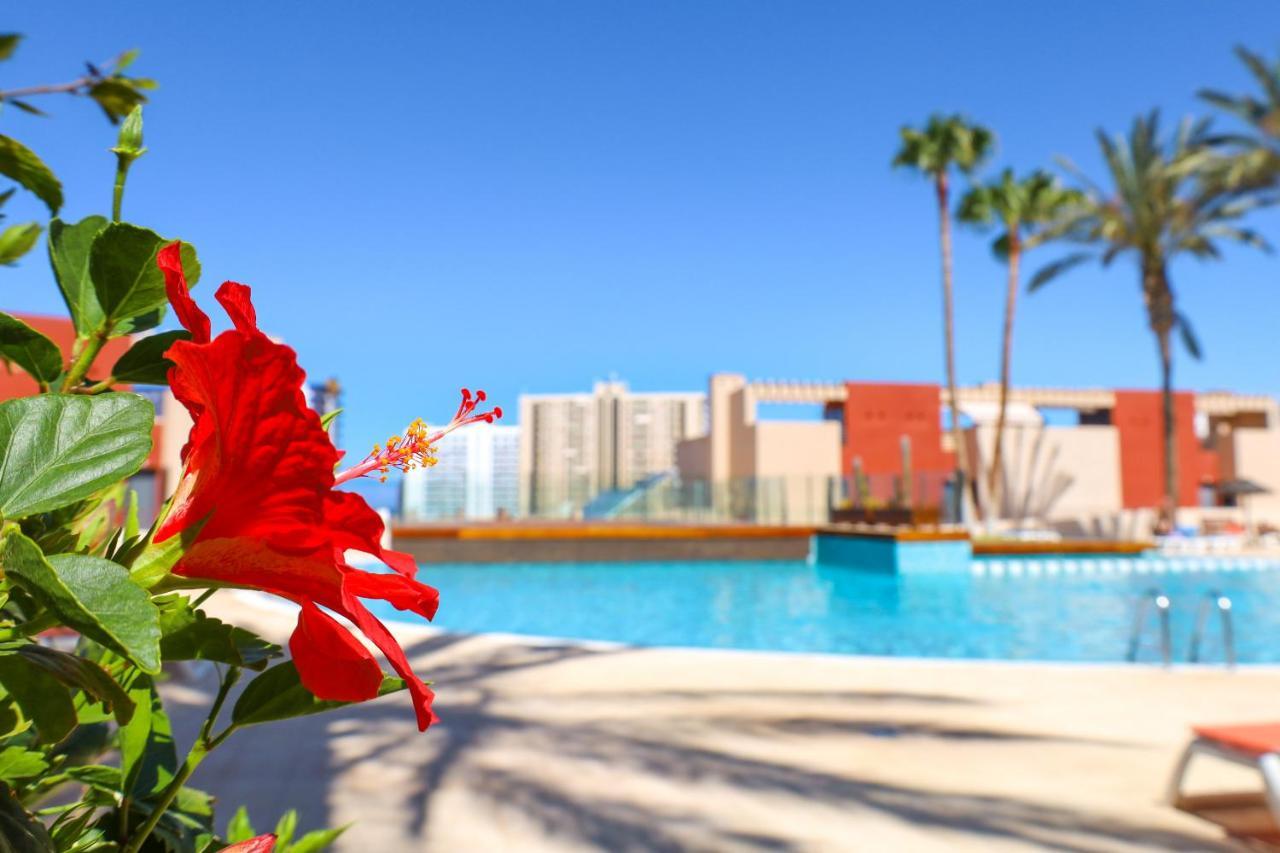 Gorgeous Paraiso Free Wifi Playa Paraiso  Exterior photo